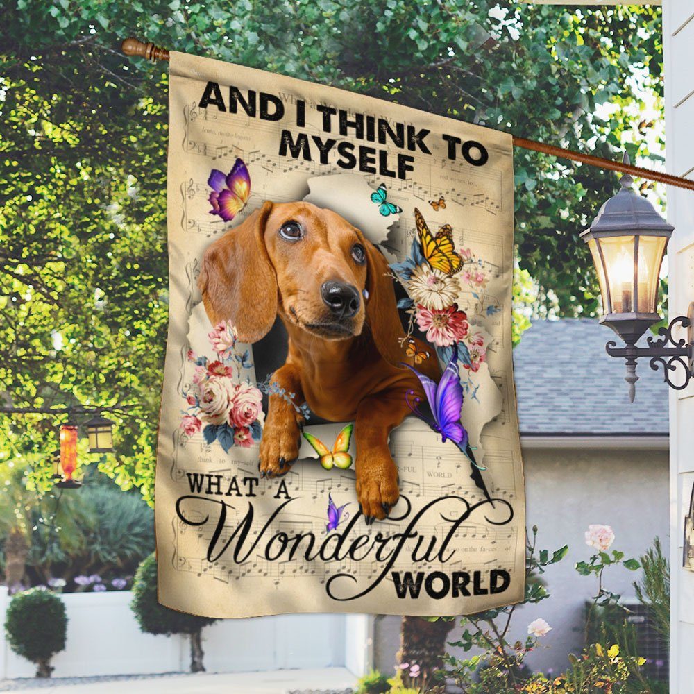 Dachshund Flag And I Think To Myself What A Wonderful World DDH2862Fv1 - Image 2