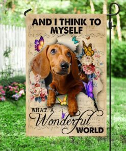 dachshund flag and i think to myself what a wonderful world ddh2862fv1 4087