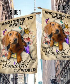 dachshund flag and i think to myself what a wonderful world ddh2862fv1 4355