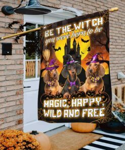Dachshund Flag Be A Witch Halloween MLH1874F