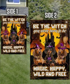 dachshund flag be a witch halloween mlh1874f 8490