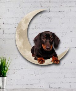 dachshund on the moon hanging metal sign qnk1012msv4 1573