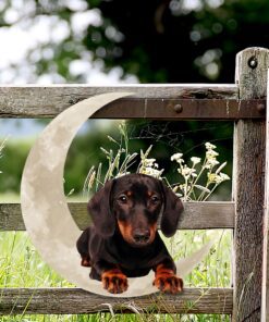 dachshund on the moon hanging metal sign qnk1012msv4 8613