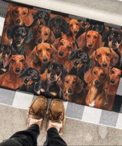dachshunds make me happy doormat dbd2913dmv1 2912