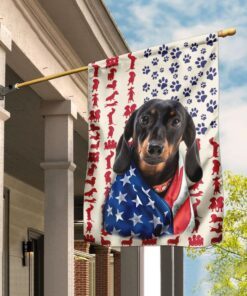 Dog Dachshund Celebrate Fourth Of July Independence Day Flag