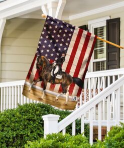 dressage american flag 3861