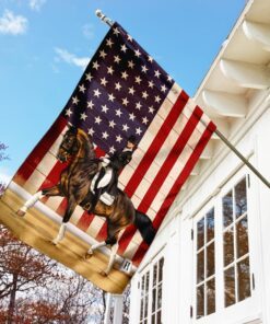 dressage american flag 8666