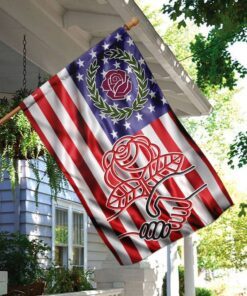 dsa american flag 2989