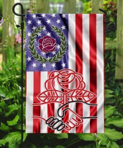 dsa american flag 6038
