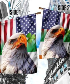 eagle shamrock flag 4363