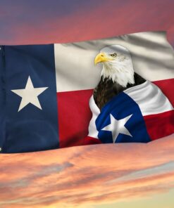 Eagle Texas Patriot Grommet Flag TQN71GF