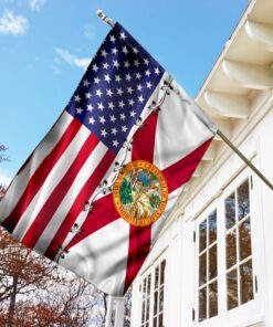 florida &amp american flag 8345
