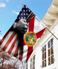 florida state american flag 4359