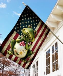 frog american flag 4323