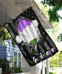 genderqueer pride flag 5207