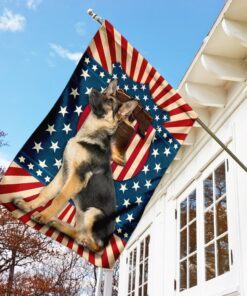 german shepherd american us flag 2477