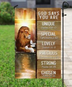 god says you are lion &amp lamb flag 4249