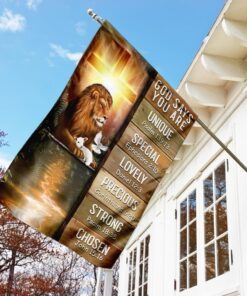 god says you are lion &amp lamb flag 4714