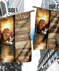 god says you are lion &amp lamb flag 7293