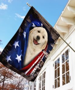 golden retriever american flag 1591