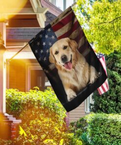 golden retriever american flag 7429