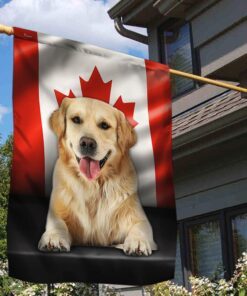 golden retriever dog canadian flag qnn557fv2 6615