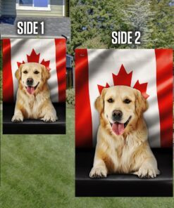 golden retriever dog canadian flag qnn557fv2 7354