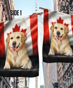 golden retriever dog canadian flag qnn557fv2 7362