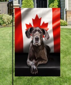great dane dog canadian flag qnn557fv13 2013
