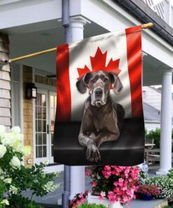 Great Dane Dog Canadian Flag QNN557Fv13