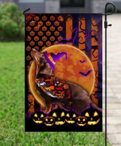 halloween flag beware of the dachshund ddh2749fv4 1602