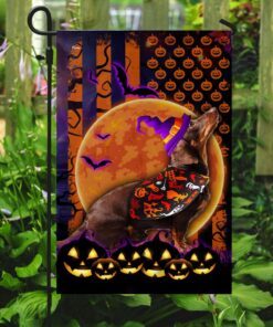halloween flag beware of the dachshund ddh2749fv4 3387