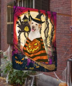 halloween flag yellow labrador retriever witch anl187f 6055