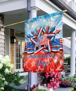 Happy Independence Day Flag Freedom Firework LNT0129F