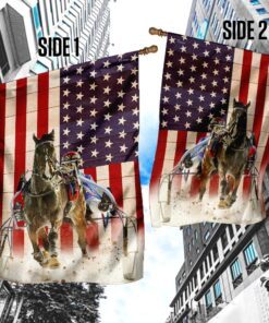 harness racing flag 2238