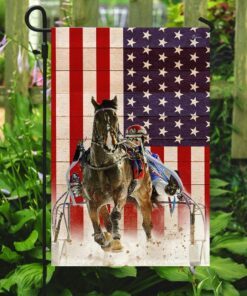 harness racing flag 6183