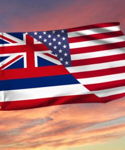 Hawaii American Flag Hawaiian US Grommet Flag QTR288GF
