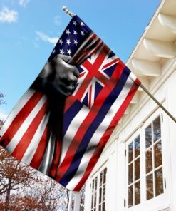 hawaii state flag 3159
