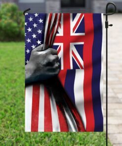 hawaii state flag 5773
