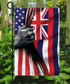 hawaii state flag 8239