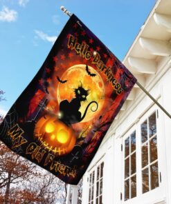 Hello Darkness Cat Halloween Flag