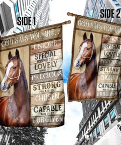 horse, god says you are flag 2260