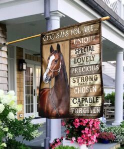 Horse, God Says You Are Flag