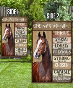 horse, god says you are flag 6898