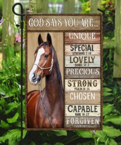 horse, god says you are flag 8238