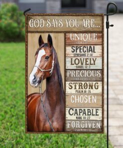 horse, god says you are flag 8503