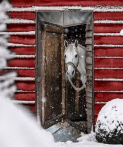 Horse Door Cover Horse In Stable Snow PS299D