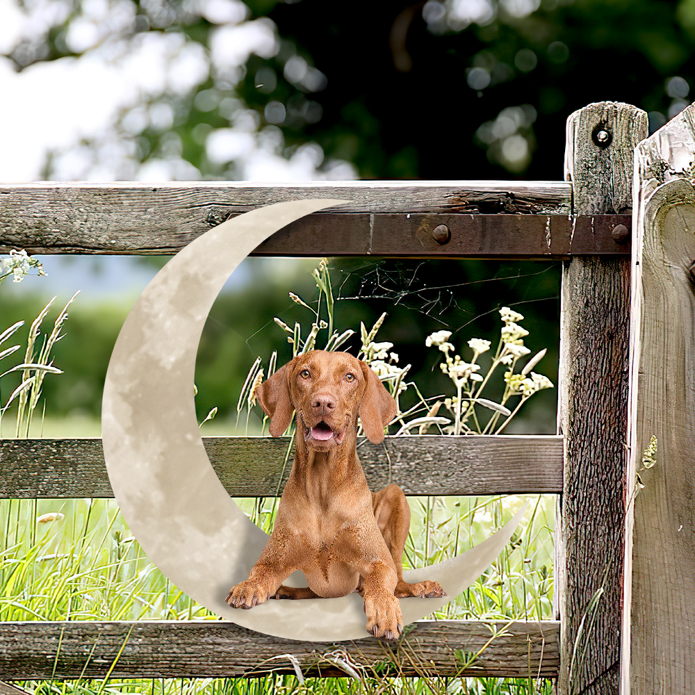 Hungarian Vizsla Dog On The Moon Hanging Metal sign QNK1012MSv6 - Image 4