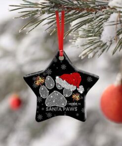 i believe in santa paws. christmas dog lovers ceramic ornament 3408