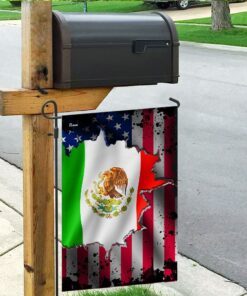 i may live in the usa but my story began in mexico flag 3272